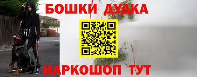 прущие крисы Кимры