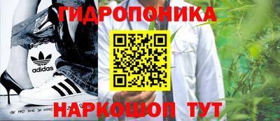 таблы Кингисепп