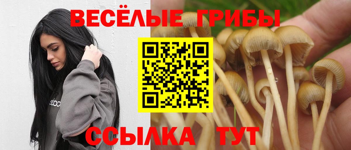 Псилоцибиновые грибы мухоморы Кубинка