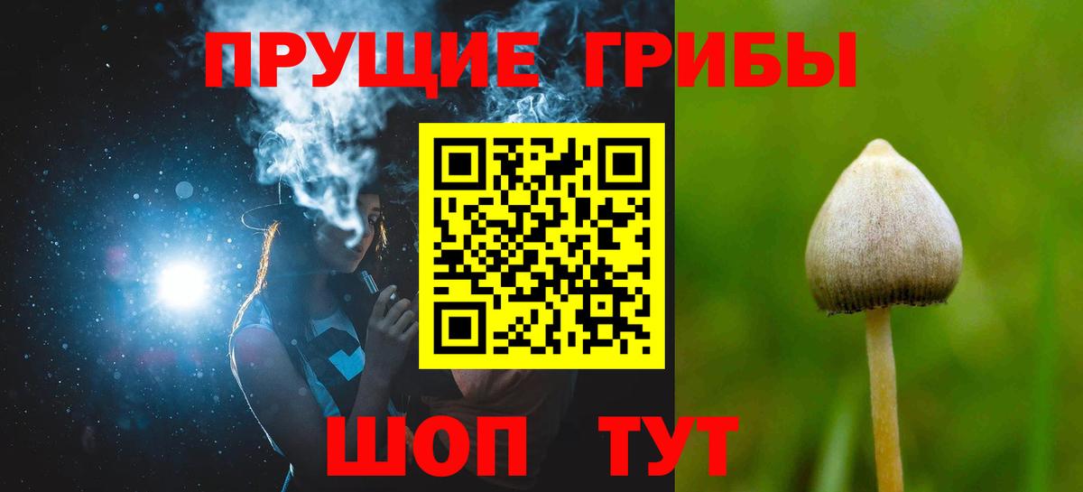 Кубинка  Псилоцибиновые грибы MAGIC MUSHROOMS  Вход с VPN 